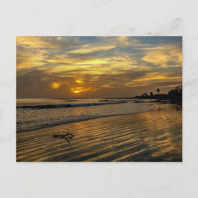 Gambia Sunset Postcard Postkarte (Vorderseite)