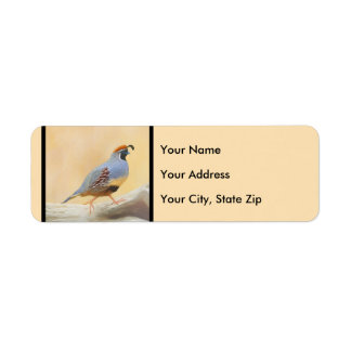 Gambrel's Quail Painting Original Bird Art