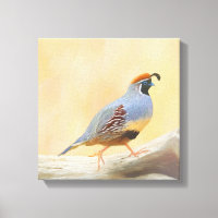 Gambrel's Quail Painting Original Bird Art