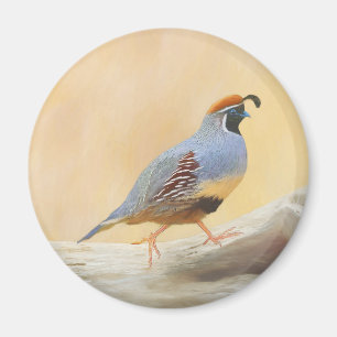 Gambrel's Quail Painting Original Bird Art Magnet