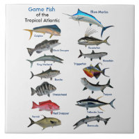 Game Fish of the Tropical Atlantic Poster