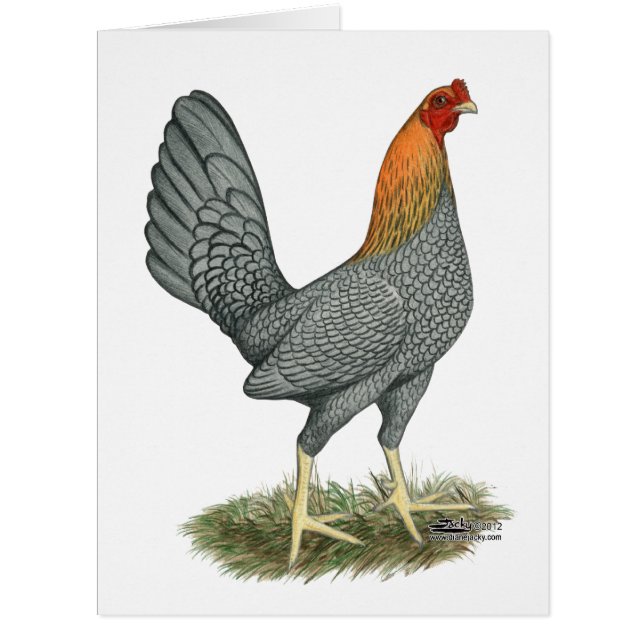 Game Hen Blue Red (Vorderseite)