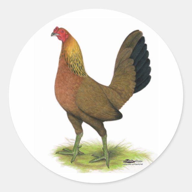 Game Hen: Pea-Combed Runder Aufkleber (Vorderseite)