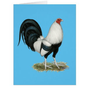 Gamecock argenté