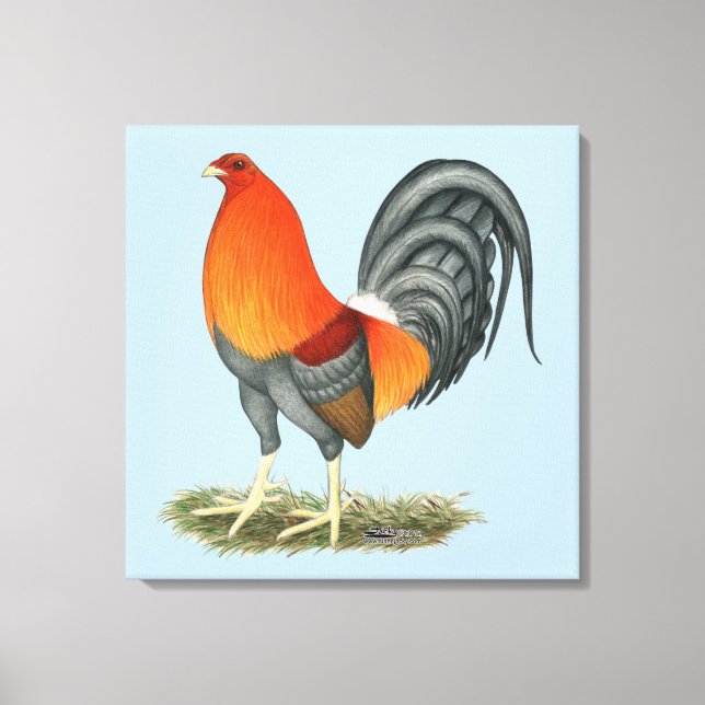 Gamecock Blue Red Rooster Leinwanddruck (Vorderseite)