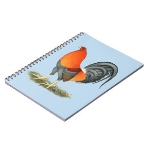 Gamecock Blue Red Rooster Notizblock