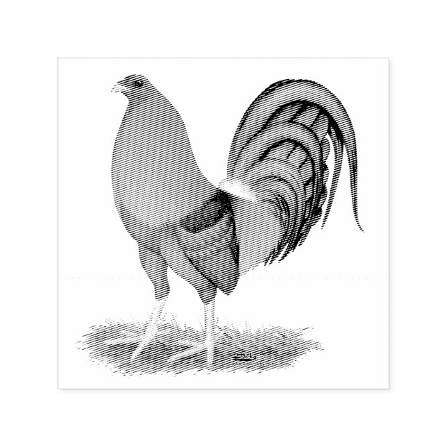 Gamecock Blue Red Rooster Permastempel (Design)