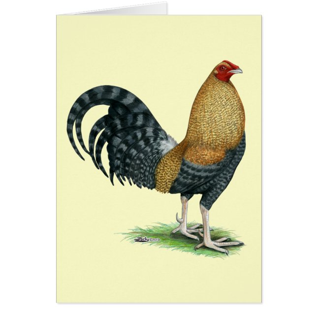 Gamecock: Dom oder Crele (Vorne)