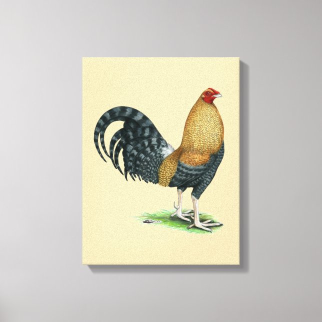 Gamecock: Dom oder Crele Leinwanddruck (Vorderseite)