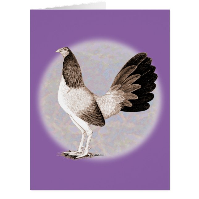 Gamecock : Hennie (Devant)