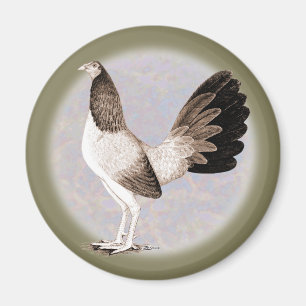 Gamecock: Hennie Magnet