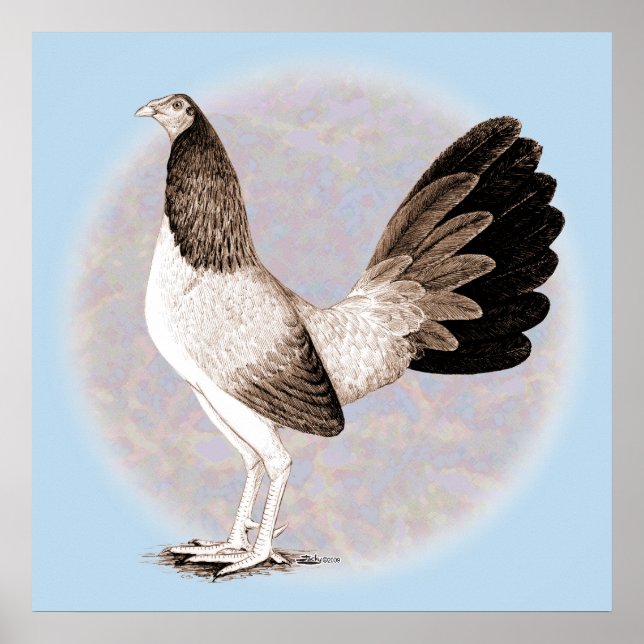 Gamecock: Hennie Poster (Vorne)