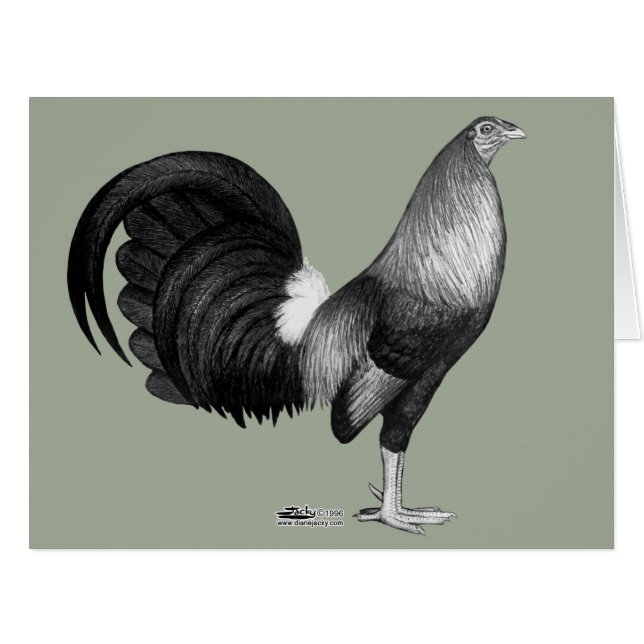 Gamecock Red Hatch (Devant horizontal)