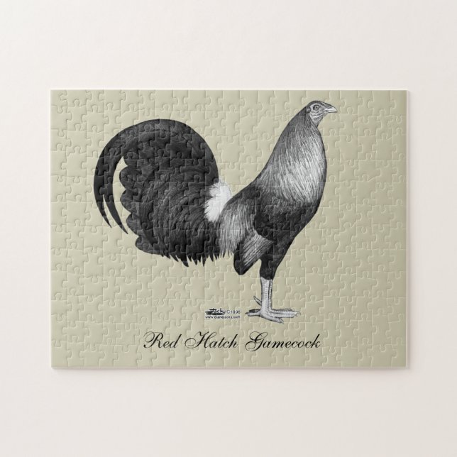 Gamecock Red Hatch (Horizontal)