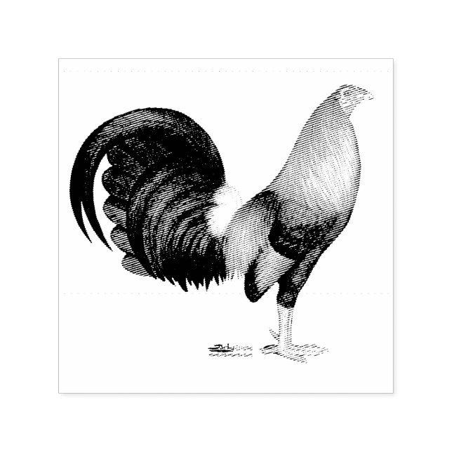 Gamecock Red Hatch Permastempel (Design)