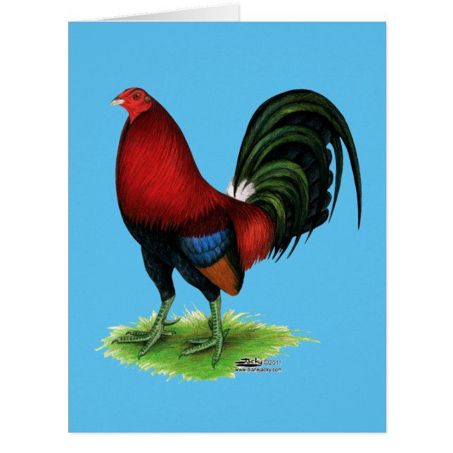 Gamecock : Rouge foncé (Devant)