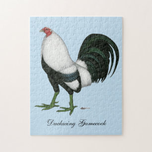 Gamecock Silver Duckwing