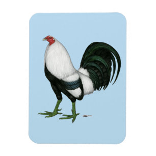 Gamecock Silver Duckwing Magnet