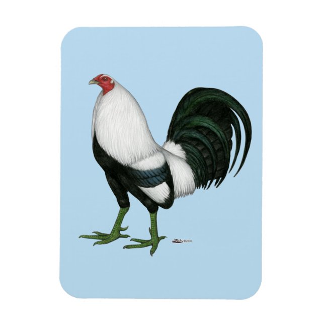 Gamecock Silver Duckwing Magnet (Vertikal)