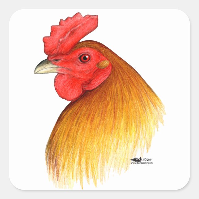 Gamecock Stag Pea Comb Quadratischer Aufkleber (Vorderseite)