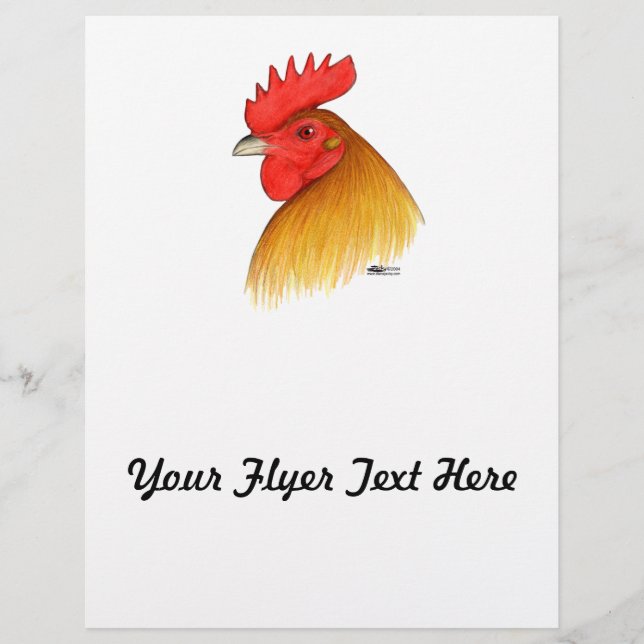 Gamecock Stag Single Comb Flyer (Vorne)