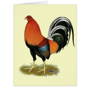 Gamecock Wheaten Rooster