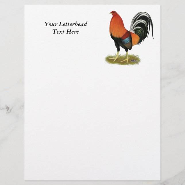 Gamecock Wheaten Rooster (Vorderseite)