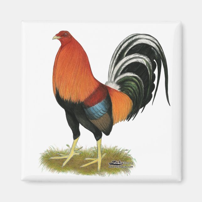 Gamecock Wheaten Rooster Magnet (Vorne)