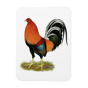 Gamecock Wheaten Rooster Magnet