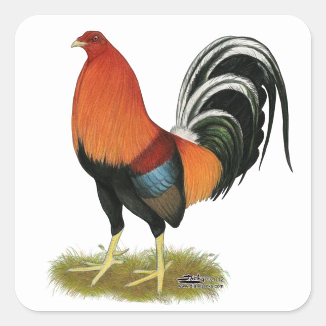 Gamecock Wheaten Rooster Quadratischer Aufkleber (Vorderseite)