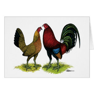 Gamefowl Pair
