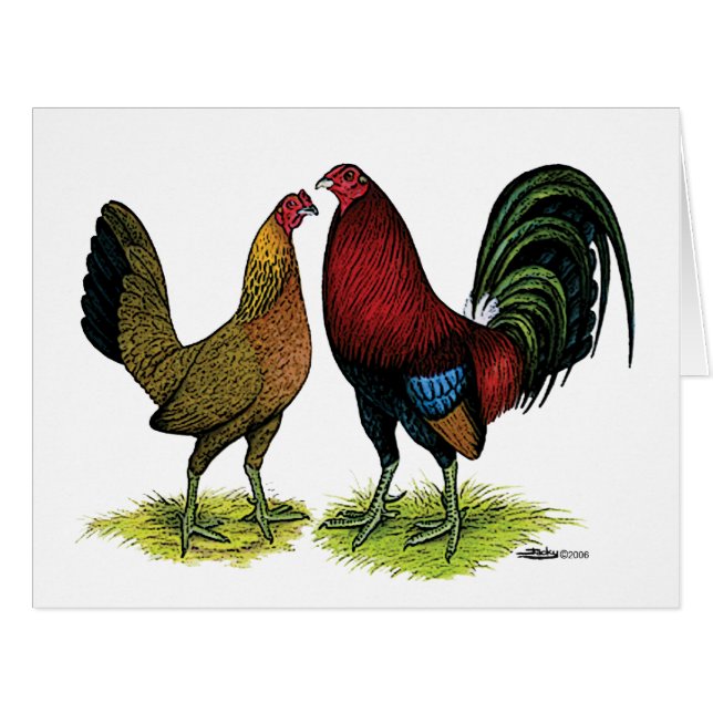 Gamefowl Pair (Vorderseite (Horizontal))