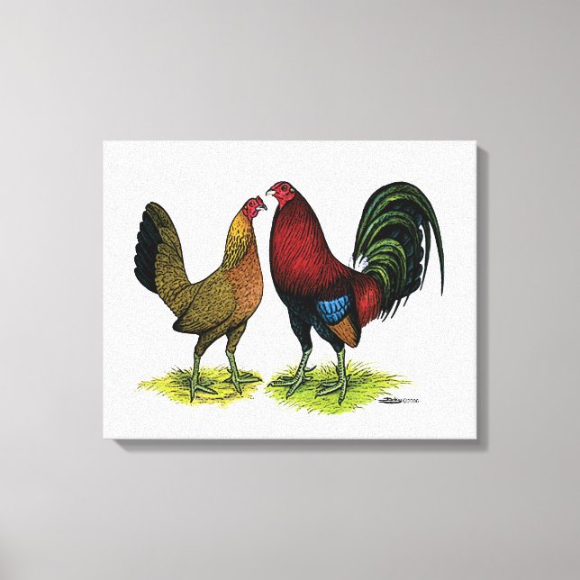 Gamefowl Pair Leinwanddruck (Vorderseite)