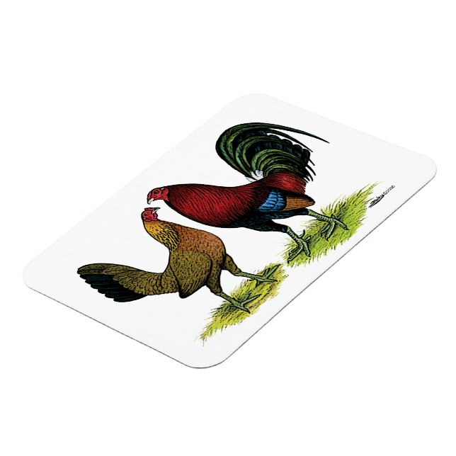 Gamefowl Pair Magnet (Linke Seite)
