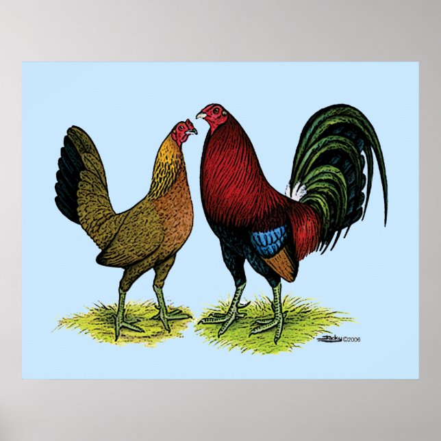 Gamefowl Pair Poster (Vorne)