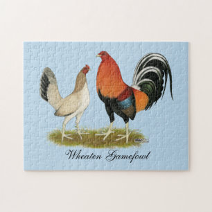 Gamefowl Wheatens