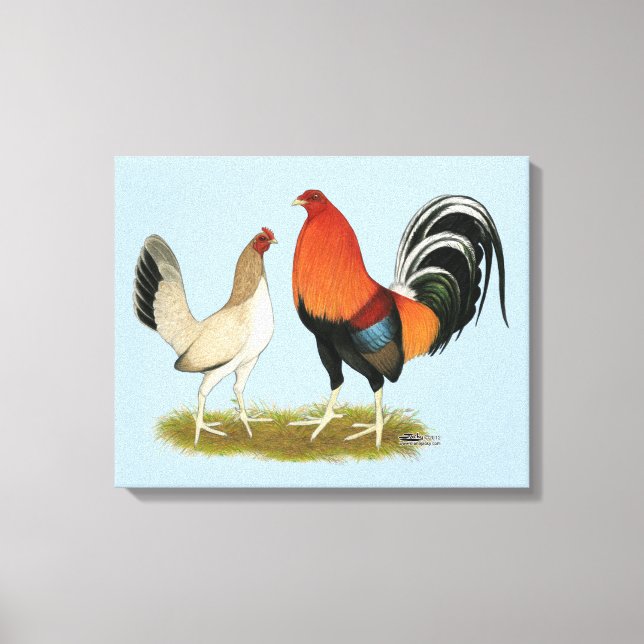Gamefowl Wheatens Leinwanddruck (Vorderseite)