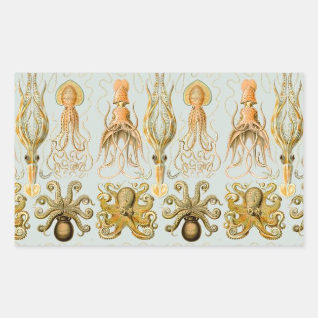 Gamochonia von Ernst Haeckel Rechteckiger Aufkleber (Vorderseite)