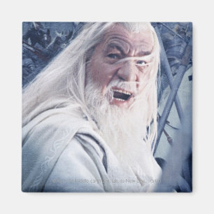 GANDALF™ bei Rindern Magnet