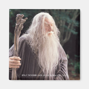 GANDALF™ Stehend Magnet
