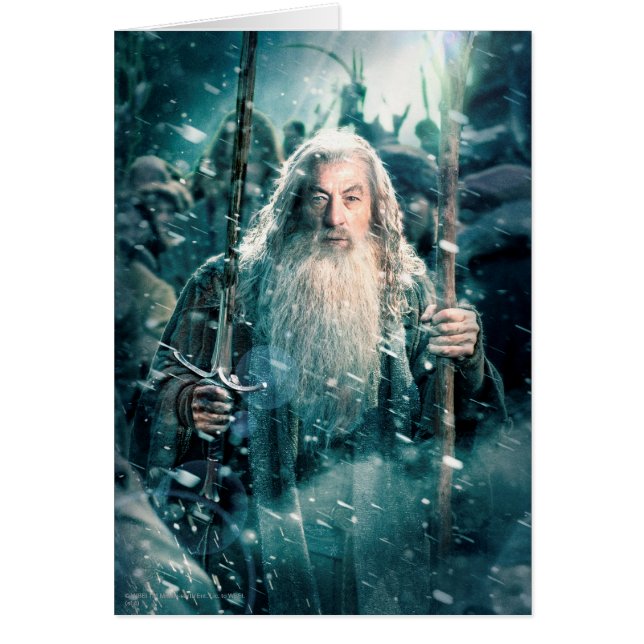 Gandalf The Gray (Vorne)