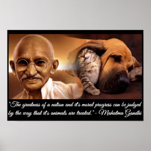 Gandhi Tierzitat Poster