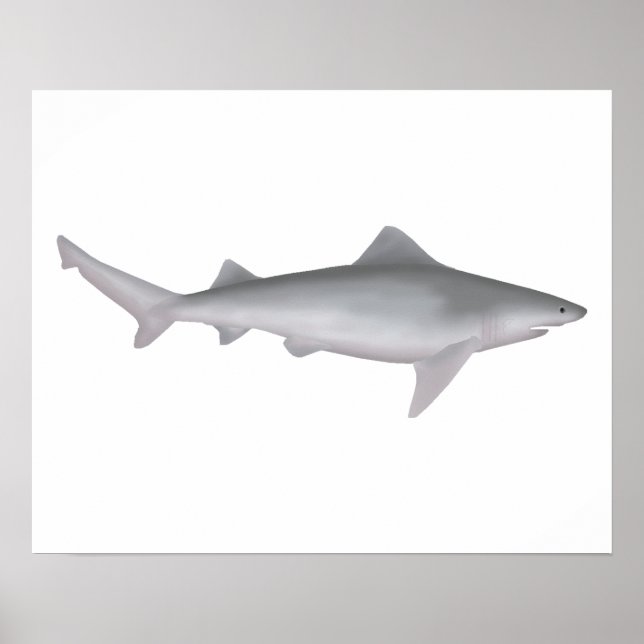 Ganges Shark Poster (Vorne)