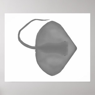 Ganges Stingray Poster