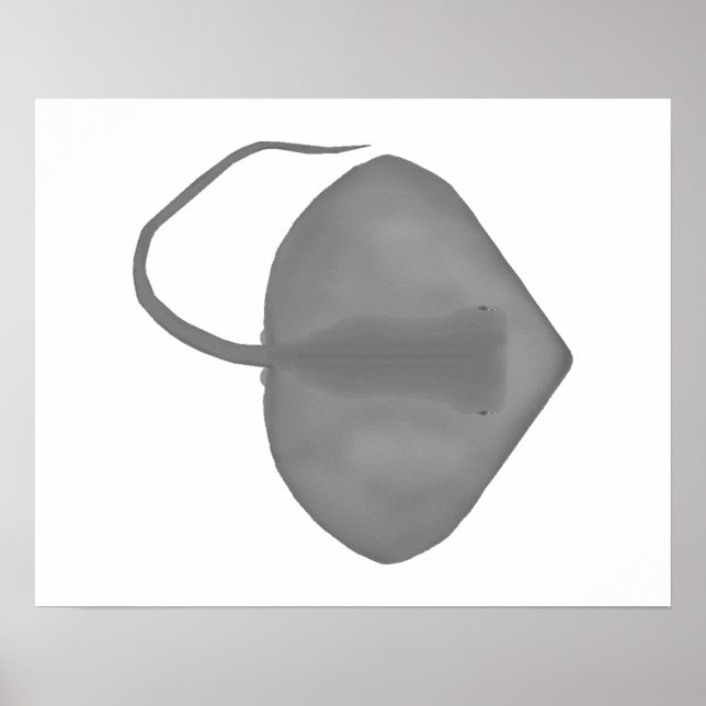 Ganges Stingray Poster (Vorne)