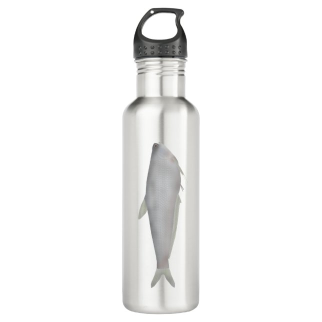 Gangetic Hairfin Anchovy  Edelstahlflasche (Vorderseite)