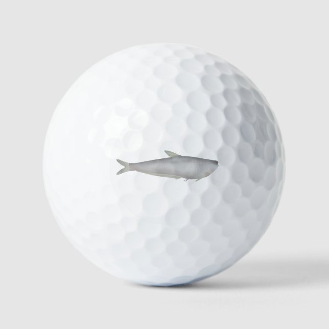 Gangetic Hairfin Anchovy  Golfball (Vorderseite)
