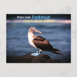 Gannet Feiertagspostkarte