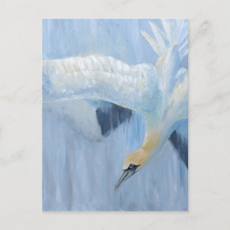 Gannets tauchende einzigartige Geschenke für Sie Postkarte
