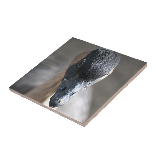 Gans Fliese (Seite)